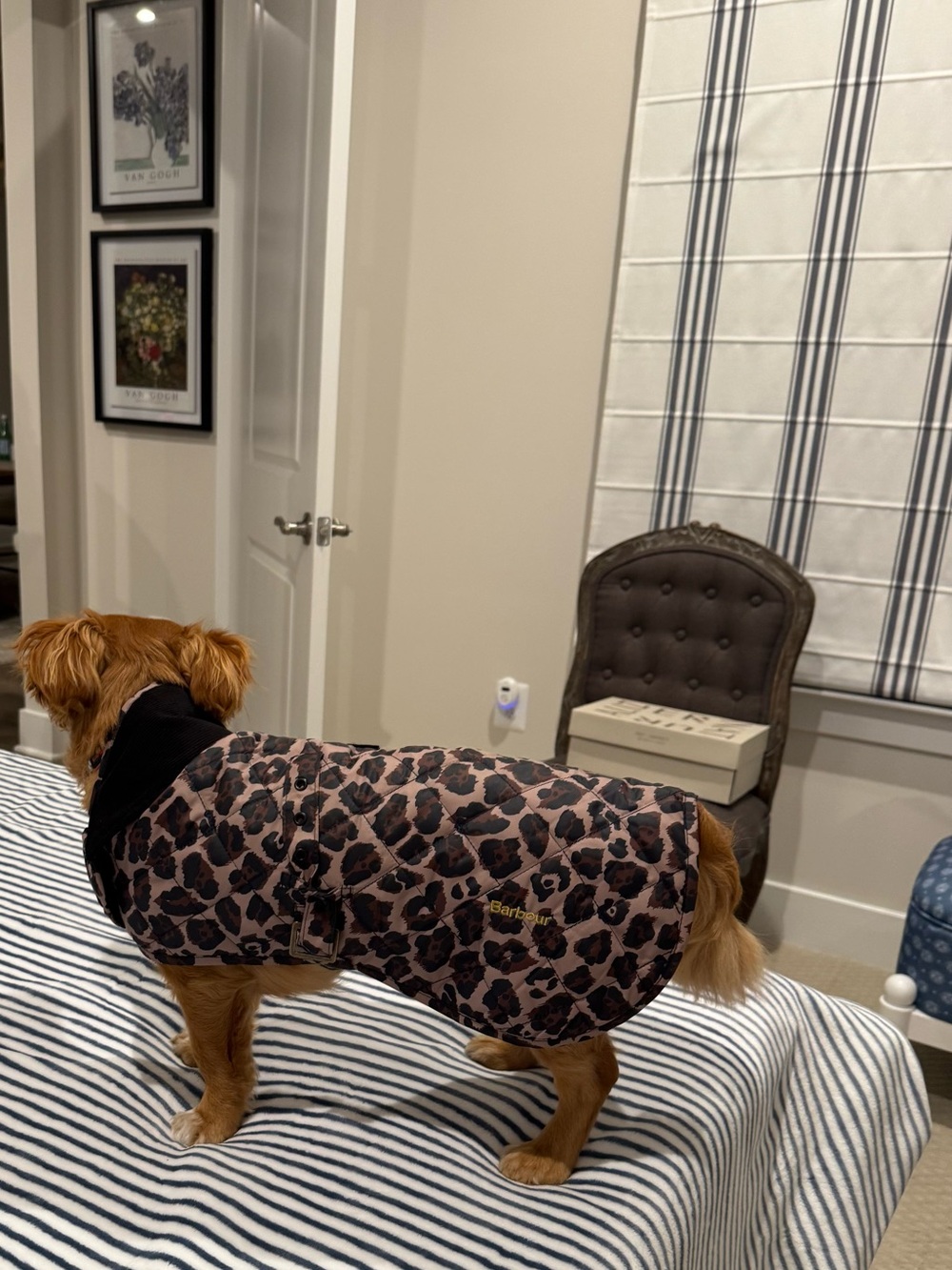 NWT Barbour  Leopard-Print All Season Quilted  Dog Coat